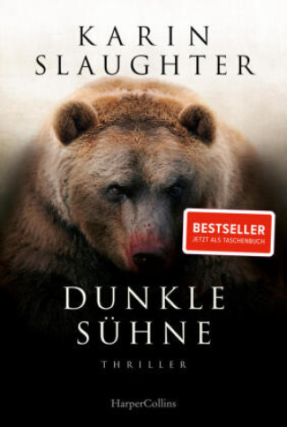 Book Dunkle Sühne Fred Kinzel