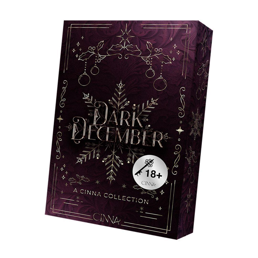 Knjiga Dark December Angelina Conti