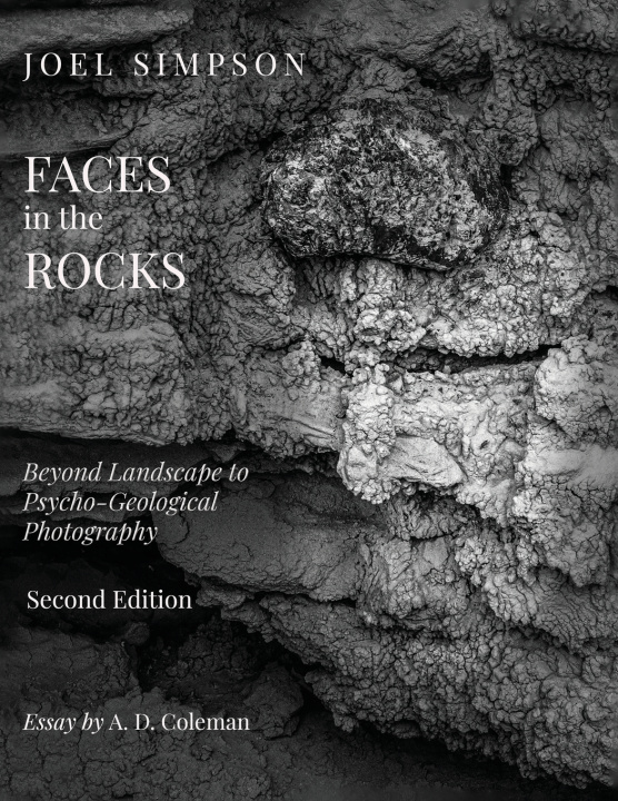 Kniha Faces in the Rocks Joel S Simpson
