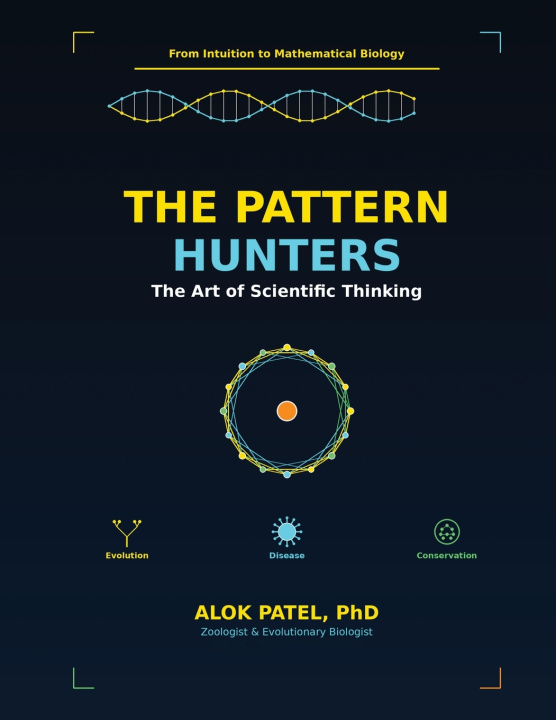 Kniha The Pattern Hunters Alok Patel