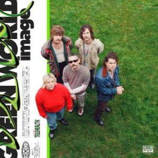 Audio Green World Image Telehealth