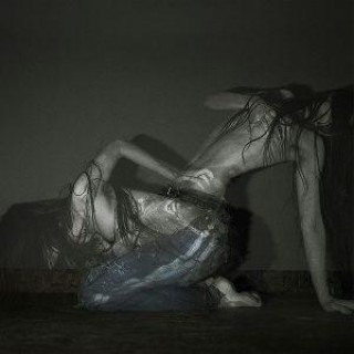 Audio Something Is a Shell . Sofia Isella