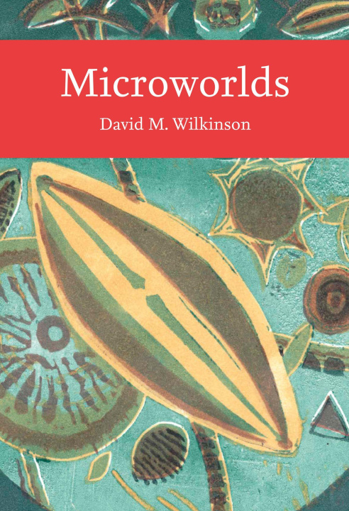 Knjiga Microworlds David Wilkinson