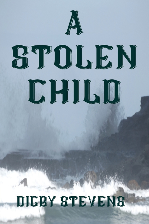Knjiga A Stolen Child Digby Stevens