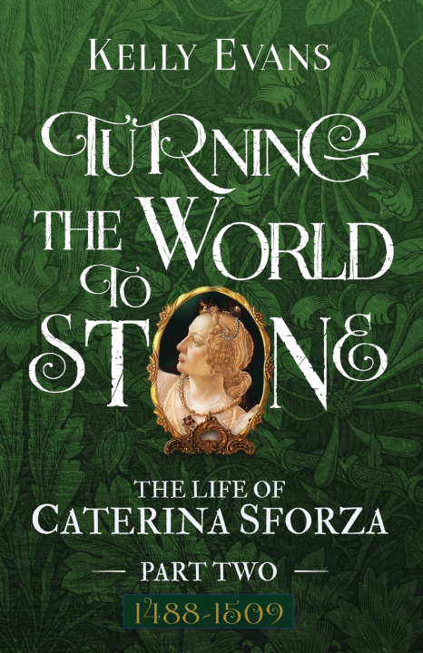 Book Turning the World to Stone Kelly Evans