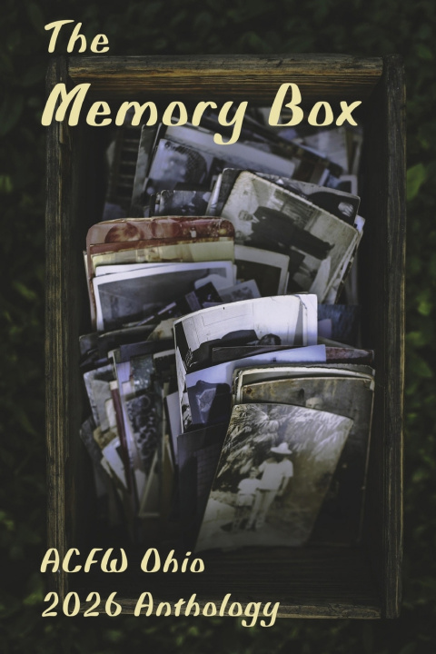 Kniha The Memory Box Aaron Wise