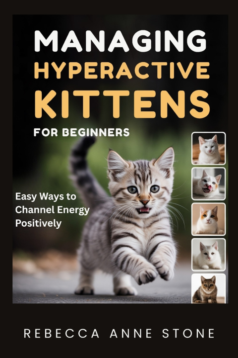 Kniha Managing Hyperactive Kittens for Beginners Rebecca Anne Stone