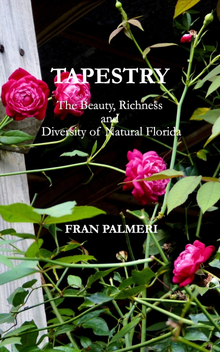 Kniha Tapestry Fran Palmeri