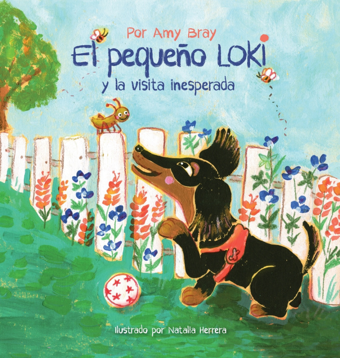 Kniha El pequeño Loki y la visita inesperada Amy Bray