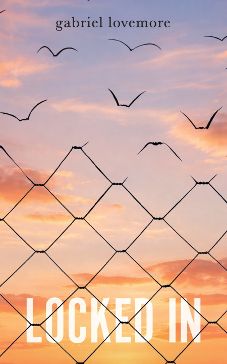 Kniha Locked In Gabriel Lovemore