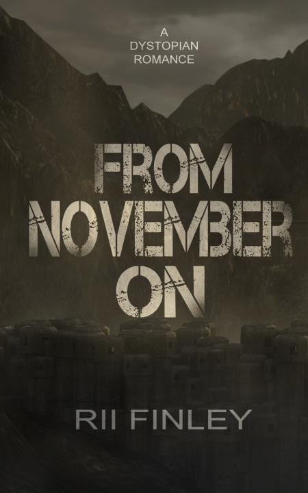 Kniha From November On Rii Finley
