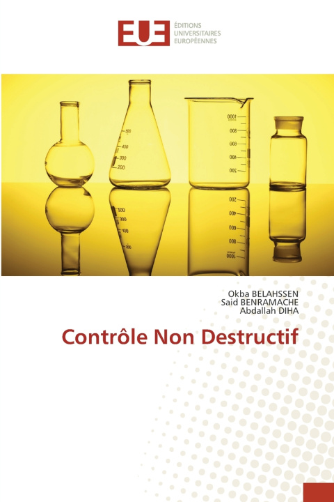 Kniha Contrôle Non Destructif Okba Belahssen