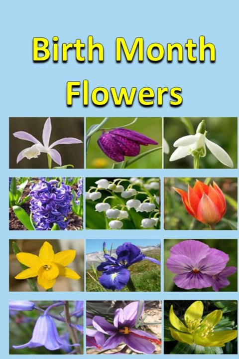 Kniha Birth Month Flowers Rich Linville