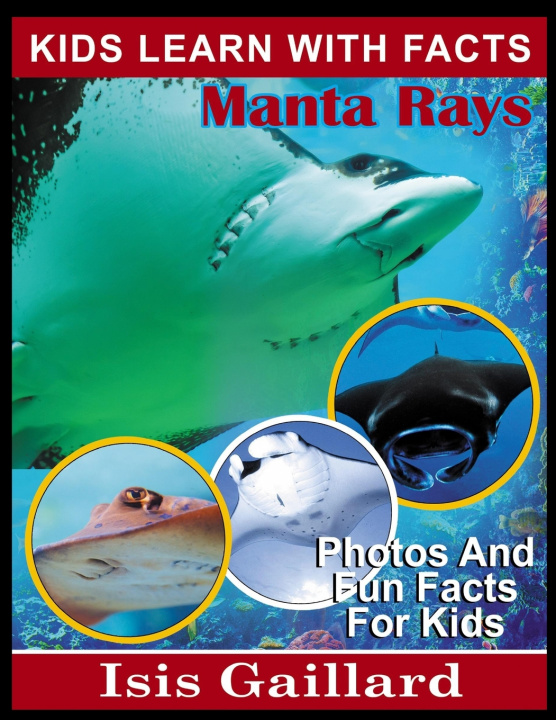 Kniha Manta Rays Isis Gaillard