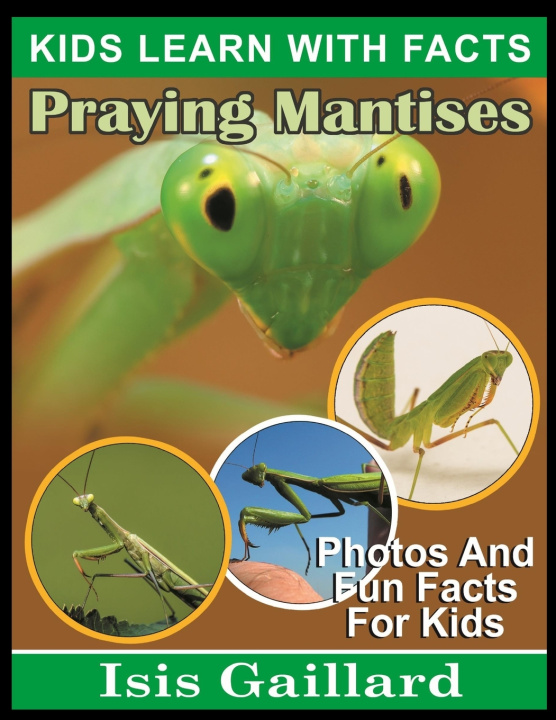 Kniha Praying Mantises Isis Gaillard