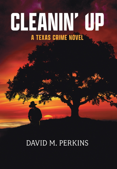 Kniha Cleanin' Up David M Perkins