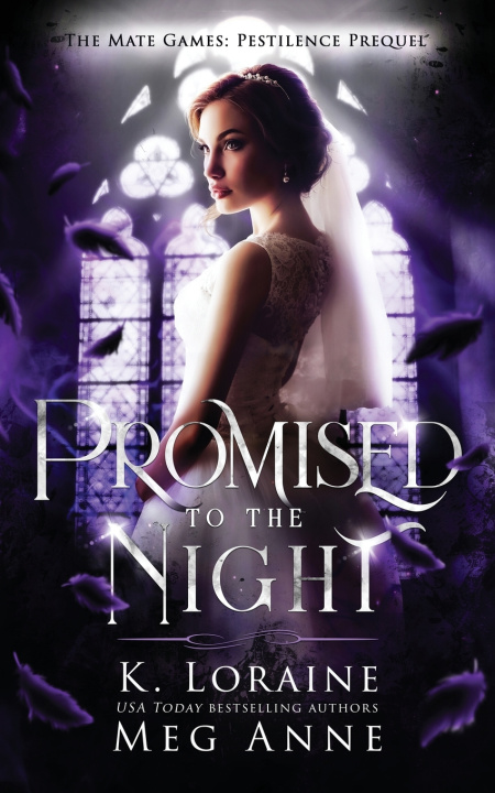 Book Promised to the Night Meg Anne