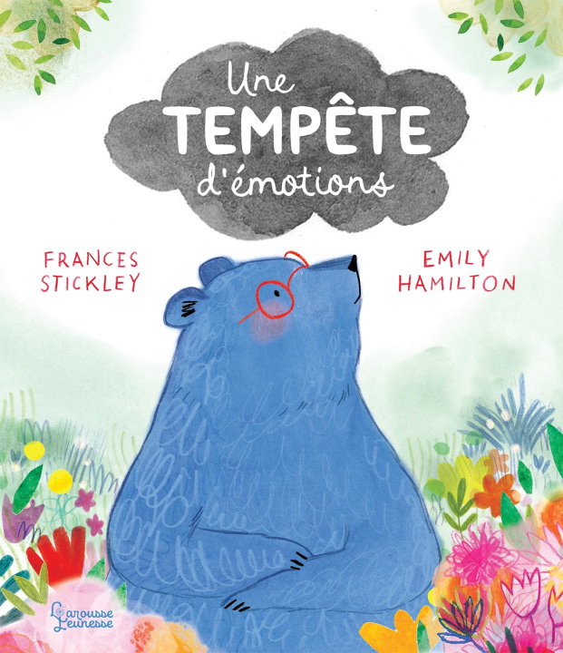 Buch Une tempête d'émotions Frances Stickley