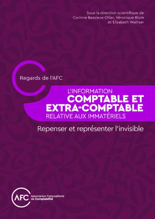 Knjiga Information comptable et extra-comptable relative aux immate riels Corinne Bessieux-Ollier