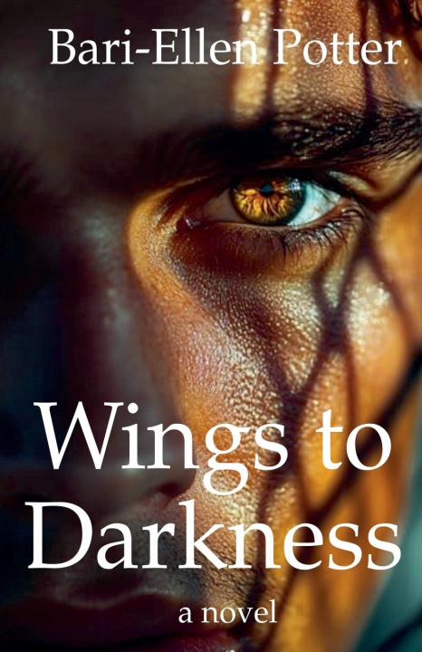 Kniha Wings to Darkness Bari-Ellen Potter