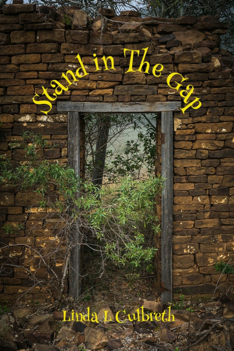 Kniha Stand in The Gap Linda Culbreth