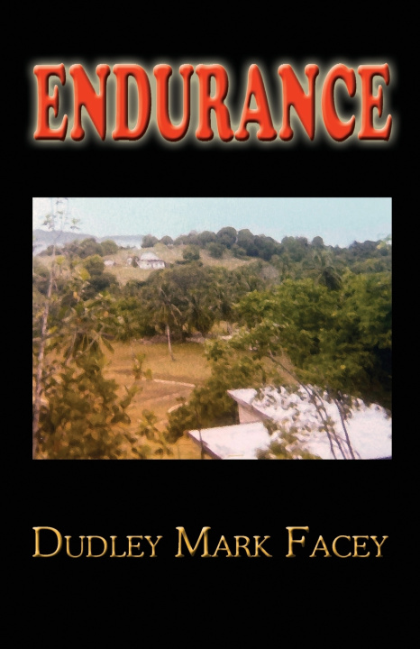 Kniha ENDURANCE Dudley Mark Facey
