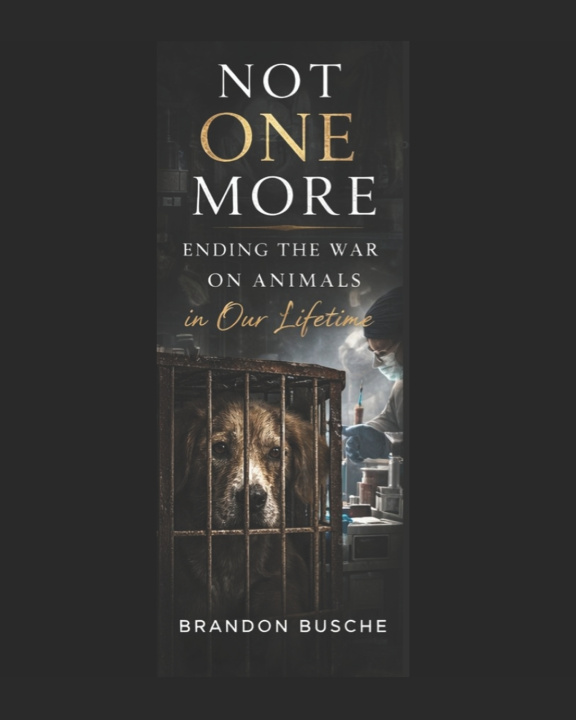 Kniha NOT ONE MORE Brandon Busche