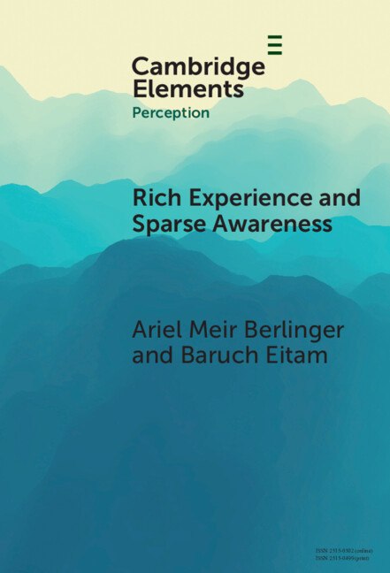 Kniha Rich Experience and Sparse Awareness Ariel Meir Berlinger