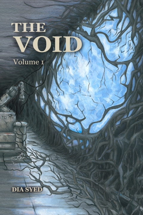 Kniha The Void Volume 1 Dia Syed