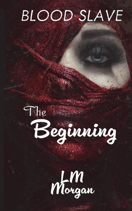 Kniha The Beginning LM Morgan