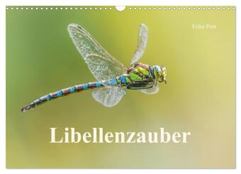 Kalendár/Diár Libellenzauber (Wandkalender 2027 DIN A3 quer), CALVENDO Monatskalender Calvendo