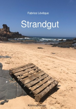 Knjiga Strandgut Fabrice Lévêque