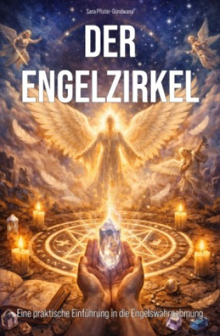 Kniha Der Engelzirkel Sara Pfister-Gondwana