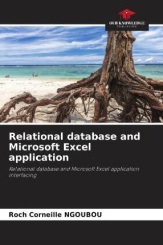 Kniha Relational database and Microsoft Excel application Roch Corneille NGOUBOU