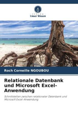 Carte Relationale Datenbank und Microsoft Excel-Anwendung Roch Corneille NGOUBOU