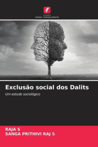 Kniha Exclusão social dos Dalits RAJA S