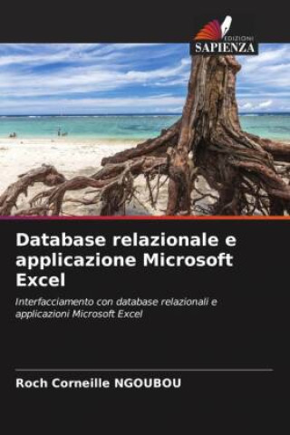Kniha Database relazionale e applicazione Microsoft Excel Roch Corneille NGOUBOU