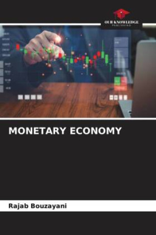 Kniha MONETARY ECONOMY Rajab Bouzayani