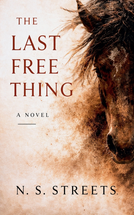 Kniha The Last Free Thing N. S. Streets