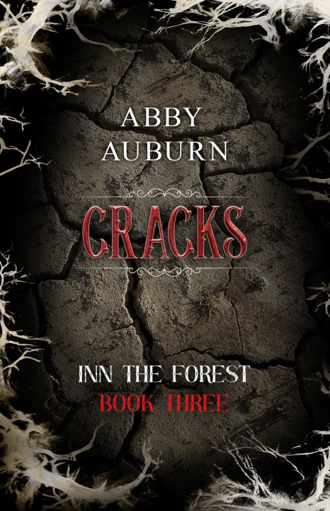 Kniha Cracks Abby Auburn