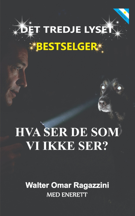 Book Det tredje lyset Walter Omar Ragazzini