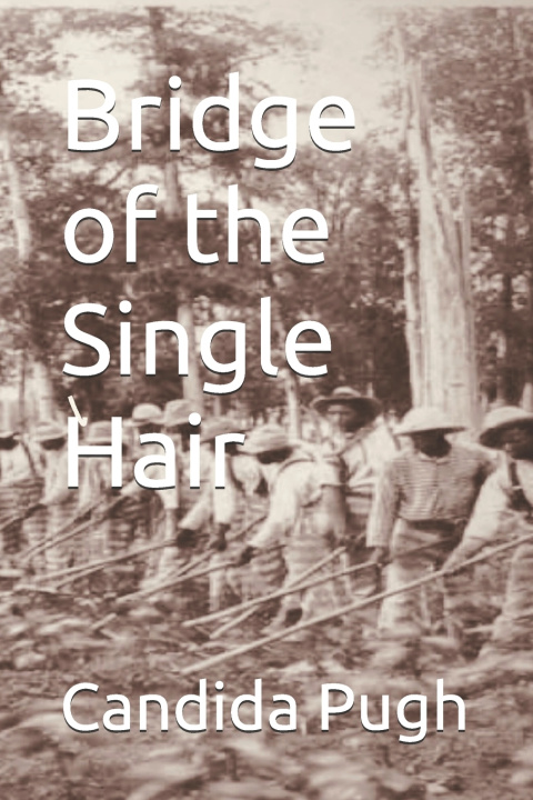 Kniha Bridge of the Single Hair Candida Pugh