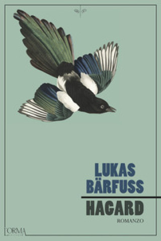 Kniha Hagard Lukas Bärfuss