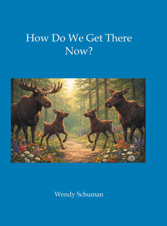 Knjiga How Do We Get There Now? Wendy Schuman