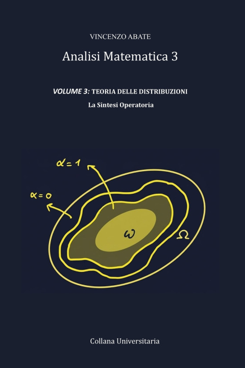 Kniha Analisi Matematica 3 VOLUME 3 VINCENZO ABATE
