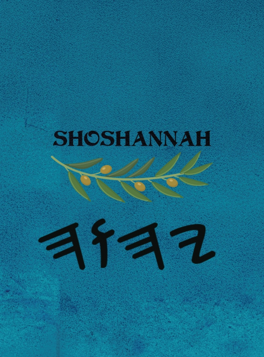 Kniha Shoshannah (Large Print) Boss