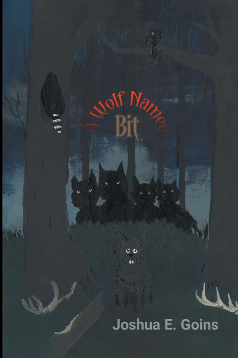 Kniha A Wolf Named Bit Joshua Goins