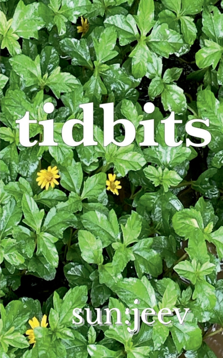 Knjiga tidbits sun:jeev