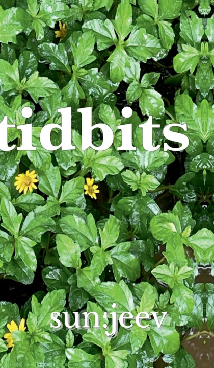 Knjiga tidbits sun:jeev