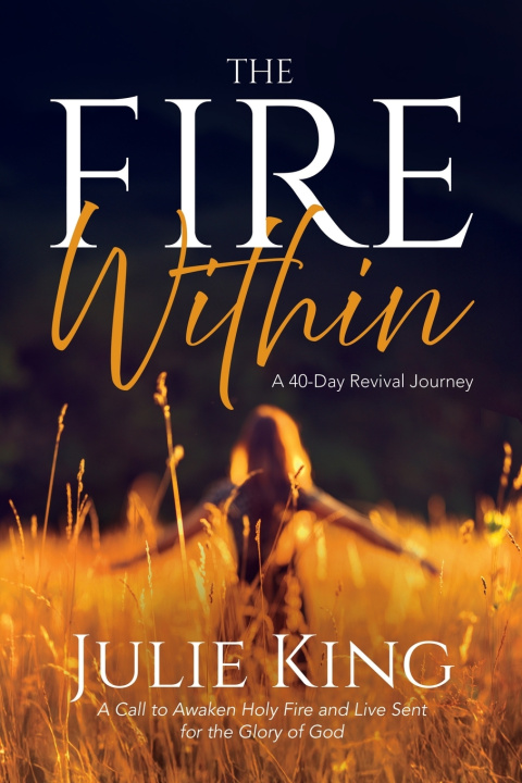 Buch The Fire Within Julie King